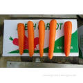 Fresh Sweet Red-Orange Organic Carrot Containing Rich Carot